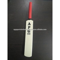 APG Mini Autograph Cricket Bat (Not Meant For Playing)