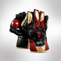 AS Wicket Keeping Gloves - V10